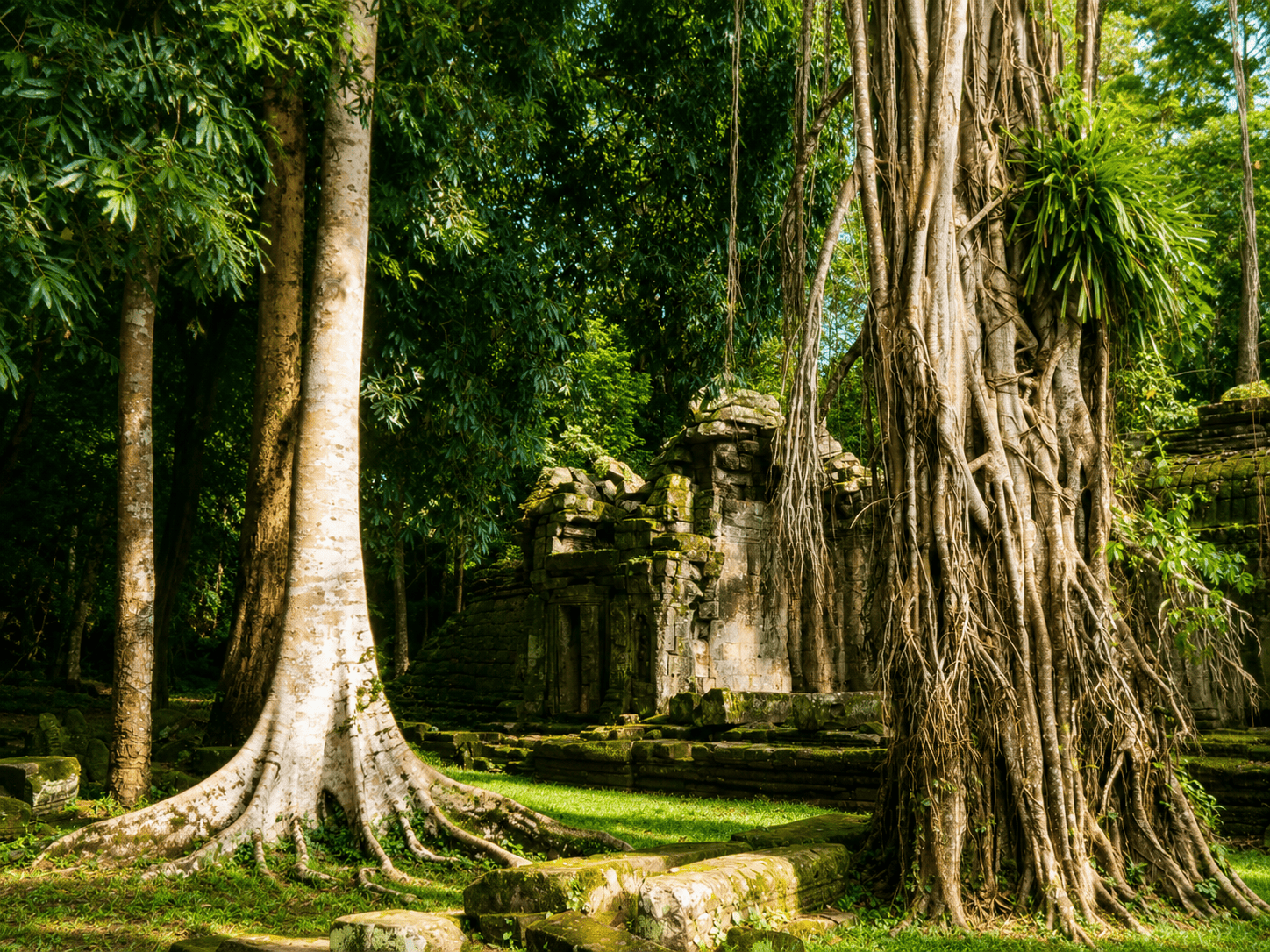 Grand Circuit of Angkor – 1 Day with a Multilingual Guide